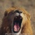 Panchal Vivek