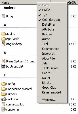 Windows Explorer Detailansicht